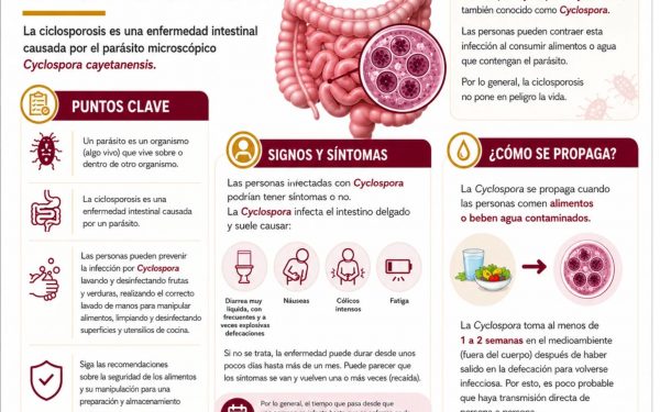 Ciclosporosis en EE.UU.: lo que debes saber del brote