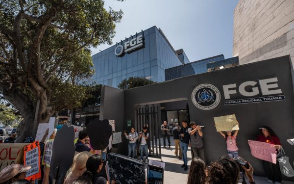 Ciudadanos exigen justicia a la Fiscalía de BC por caso de gato torturado en Tijuana