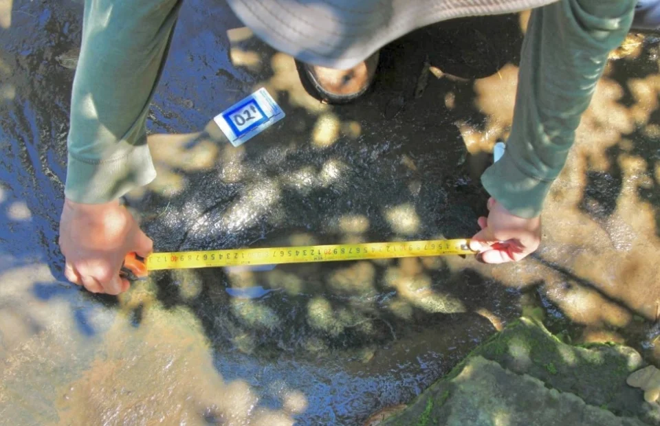 INAH confirma hallazgo de 50 huellas de dinosaurio fosilizadas en Michoacán